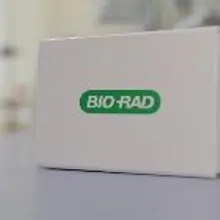 Bio-Rad Launches Anti-Pertuzumab Antibodies